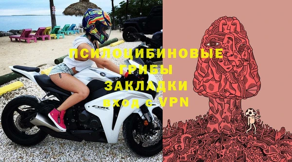 прущие крисы Кодинск