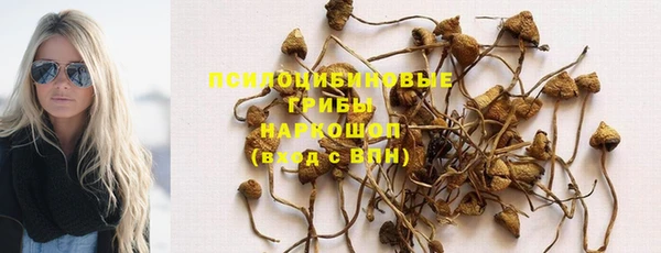 прущие крисы Кодинск