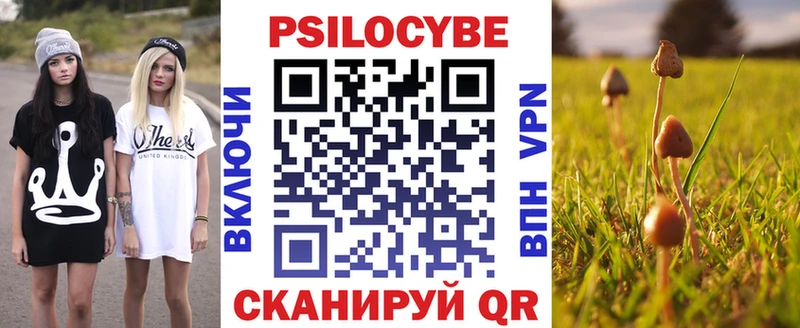 Галлюциногенные грибы Psilocybine cubensis  Купить закладки  Вологда 
